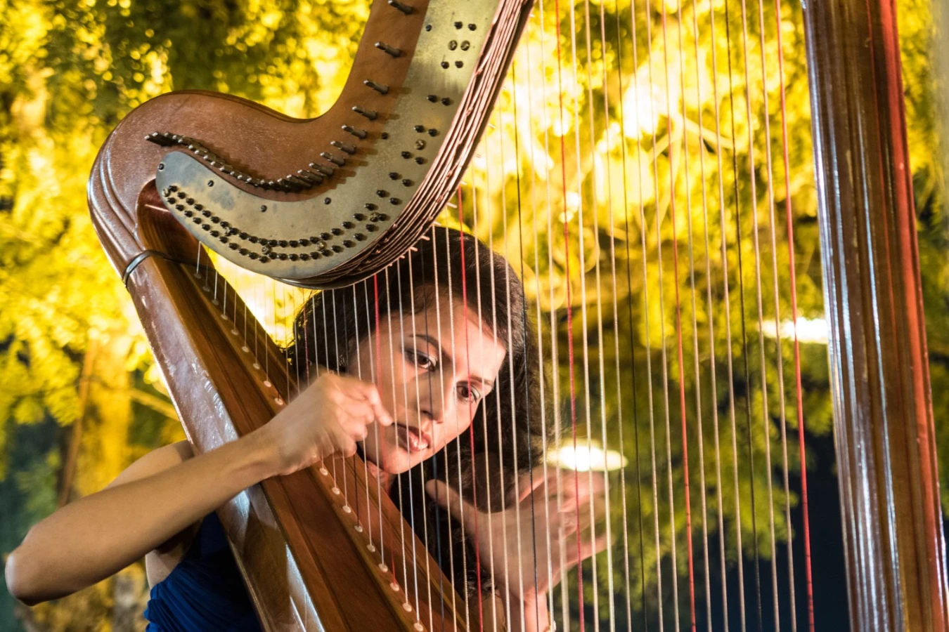 Playing Harp