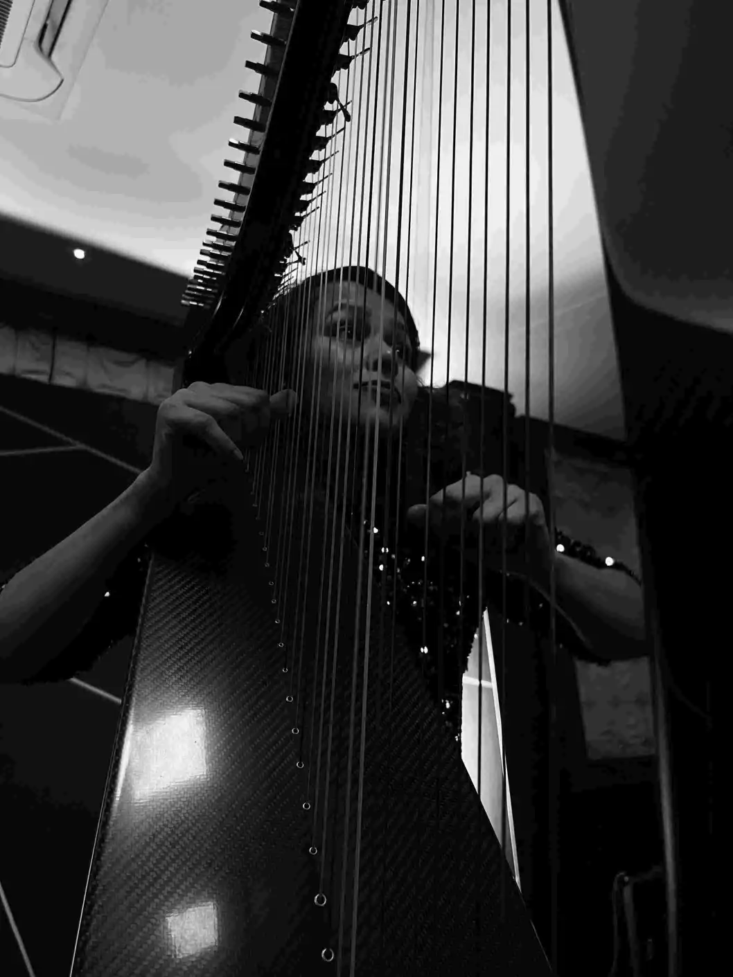 Harpist Portrait 2