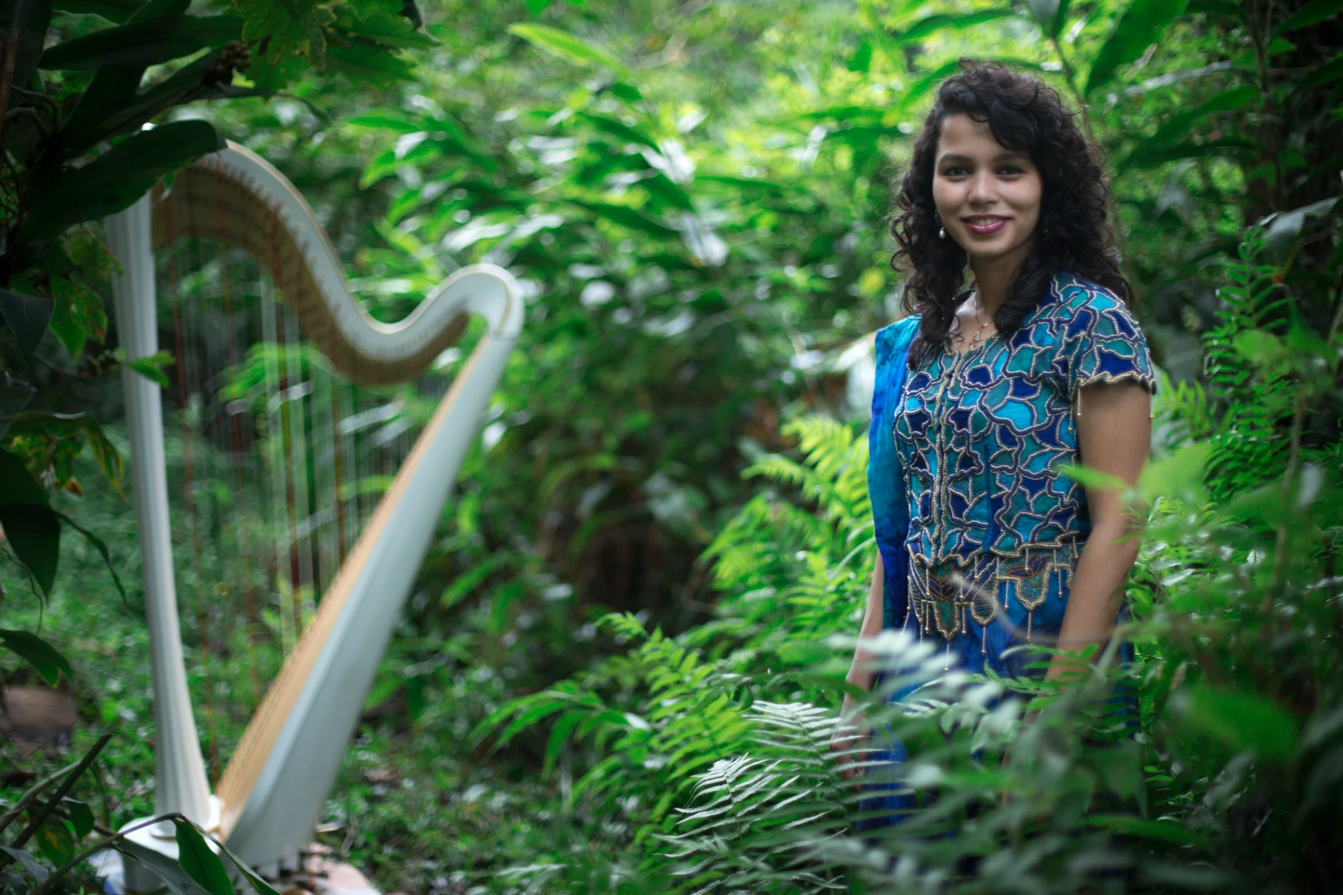 Harp Close Up